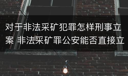 对于非法采矿犯罪怎样刑事立案 非法采矿罪公安能否直接立案
