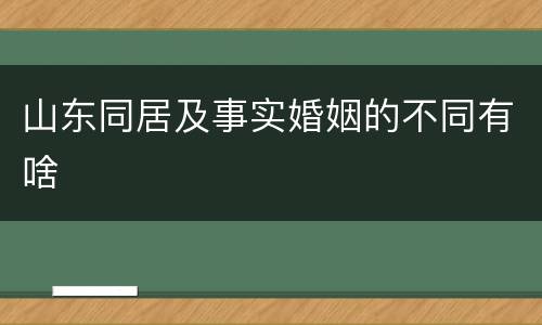 山东同居及事实婚姻的不同有啥