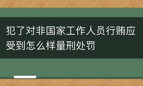 犯了对非国家工作人员行贿应受到怎么样量刑处罚