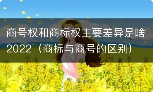 商号权和商标权主要差异是啥2022（商标与商号的区别）