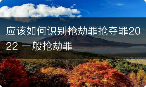 应该如何识别抢劫罪抢夺罪2022 一般抢劫罪