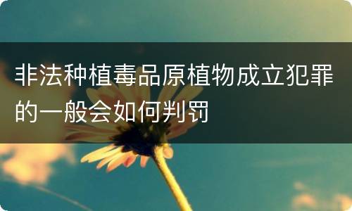非法种植毒品原植物成立犯罪的一般会如何判罚