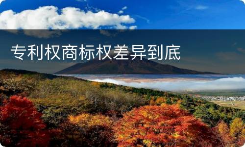 专利权商标权差异到底