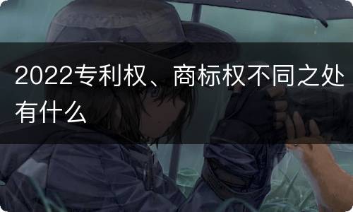 2022专利权、商标权不同之处有什么