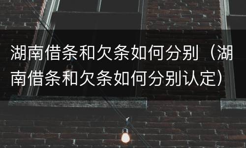 湖南借条和欠条如何分别（湖南借条和欠条如何分别认定）