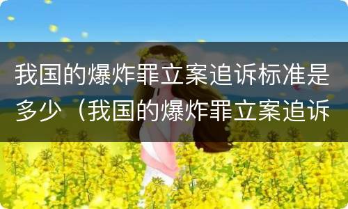 我国的爆炸罪立案追诉标准是多少（我国的爆炸罪立案追诉标准是多少年）