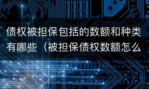 债权被担保包括的数额和种类有哪些（被担保债权数额怎么填）
