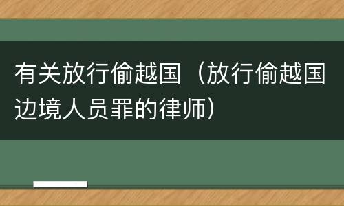 有关放行偷越国（放行偷越国边境人员罪的律师）