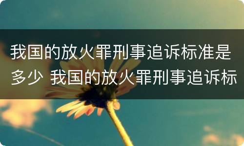 我国的放火罪刑事追诉标准是多少 我国的放火罪刑事追诉标准是多少年