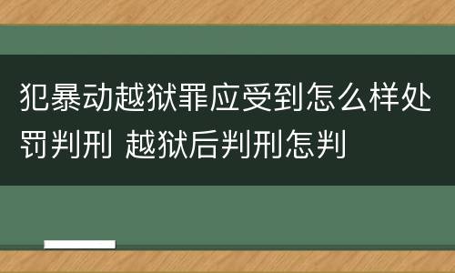 犯暴动越狱罪应受到怎么样处罚判刑 越狱后判刑怎判