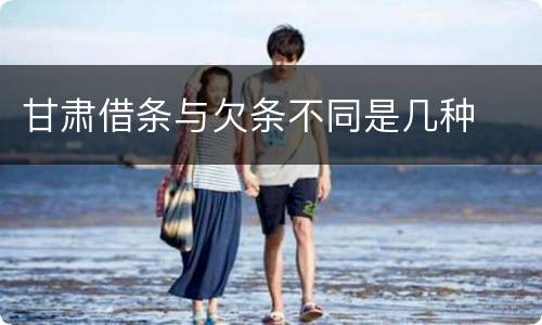 甘肃借条与欠条不同是几种