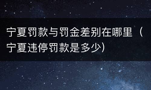 宁夏罚款与罚金差别在哪里（宁夏违停罚款是多少）