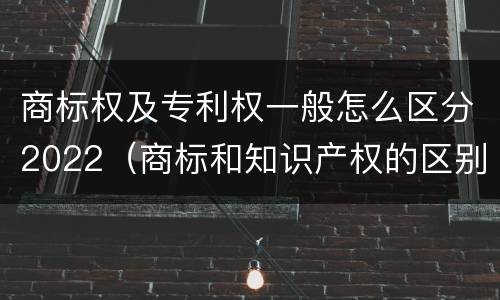 商标权及专利权一般怎么区分2022（商标和知识产权的区别）