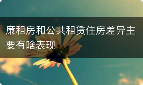 廉租房和公共租赁住房差异主要有啥表现