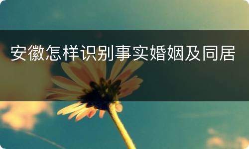 安徽怎样识别事实婚姻及同居