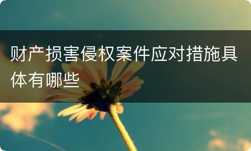 财产损害侵权案件应对措施具体有哪些