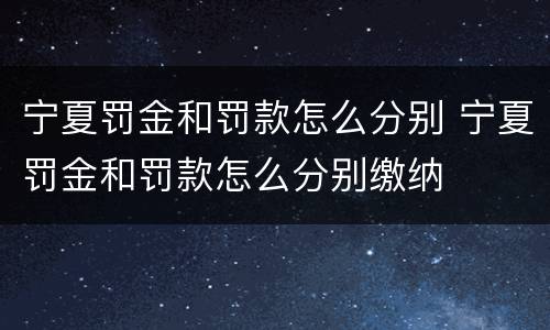 宁夏罚金和罚款怎么分别 宁夏罚金和罚款怎么分别缴纳