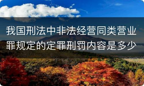 我国刑法中非法经营同类营业罪规定的定罪刑罚内容是多少