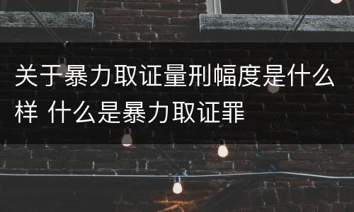 关于暴力取证量刑幅度是什么样 什么是暴力取证罪