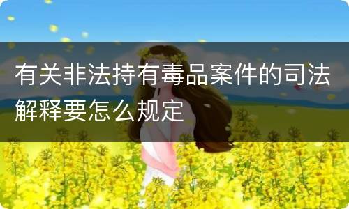 有关非法持有毒品案件的司法解释要怎么规定