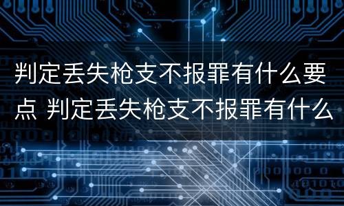 判定丢失枪支不报罪有什么要点 判定丢失枪支不报罪有什么要点呢