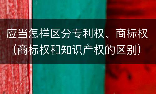 应当怎样区分专利权、商标权（商标权和知识产权的区别）