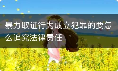 暴力取证行为成立犯罪的要怎么追究法律责任
