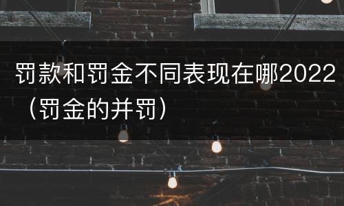 罚款和罚金不同表现在哪2022（罚金的并罚）