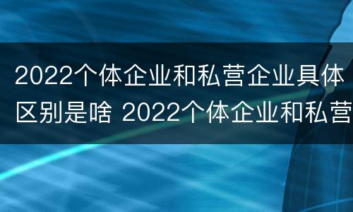 2022个体企业和私营企业具体区别是啥 2022个体企业和私营企业具体区别是啥呀