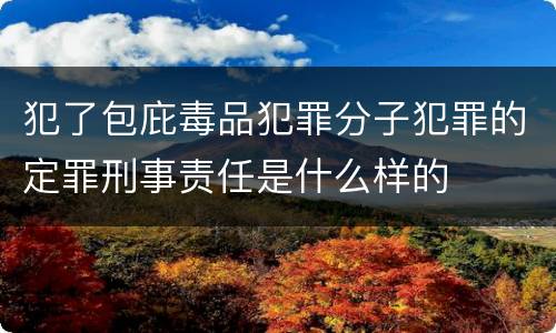犯了包庇毒品犯罪分子犯罪的定罪刑事责任是什么样的