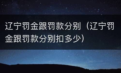辽宁罚金跟罚款分别（辽宁罚金跟罚款分别扣多少）