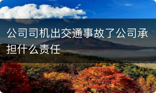 公司司机出交通事故了公司承担什么责任