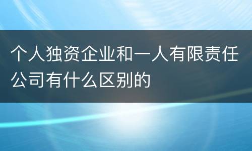 个人独资企业和一人有限责任公司有什么区别的