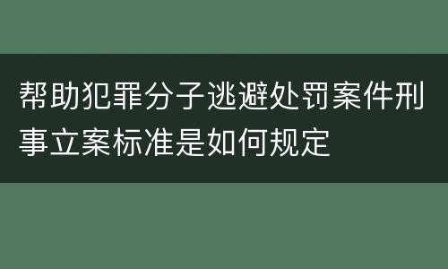 帮助犯罪分子逃避处罚案件刑事立案标准是如何规定