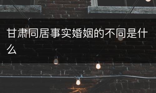 甘肃同居事实婚姻的不同是什么