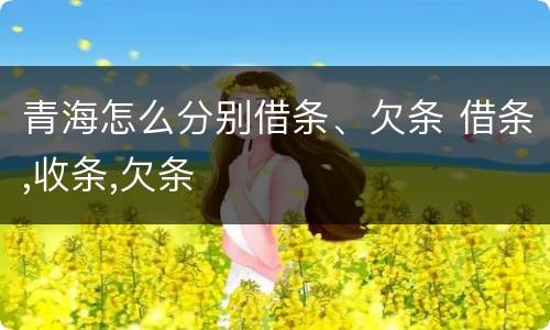 青海怎么分别借条、欠条 借条,收条,欠条