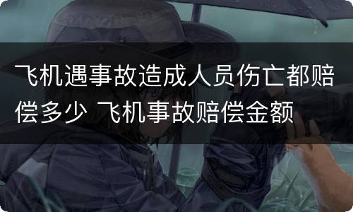 飞机遇事故造成人员伤亡都赔偿多少 飞机事故赔偿金额