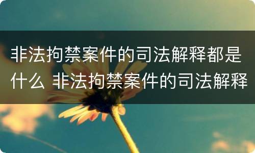 非法拘禁案件的司法解释都是什么 非法拘禁案件的司法解释都是什么内容