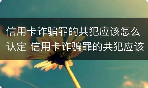 信用卡诈骗罪的共犯应该怎么认定 信用卡诈骗罪的共犯应该怎么认定罪名