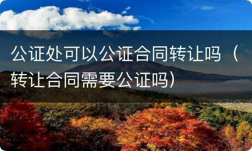 公证处可以公证合同转让吗（转让合同需要公证吗）