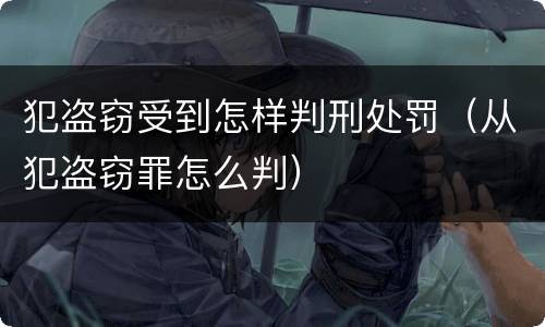 犯盗窃受到怎样判刑处罚（从犯盗窃罪怎么判）
