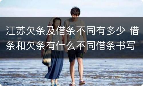 江苏欠条及借条不同有多少 借条和欠条有什么不同借条书写