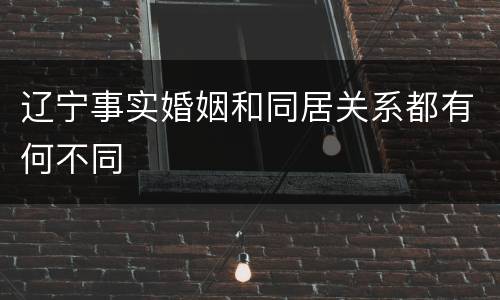 辽宁事实婚姻和同居关系都有何不同