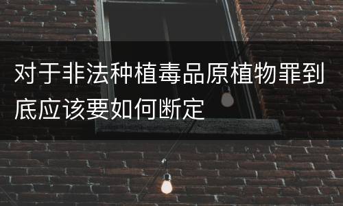 对于非法种植毒品原植物罪到底应该要如何断定