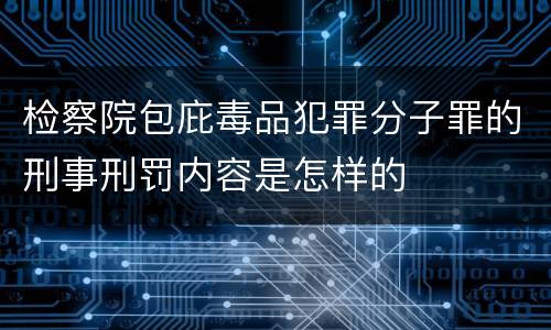 检察院包庇毒品犯罪分子罪的刑事刑罚内容是怎样的