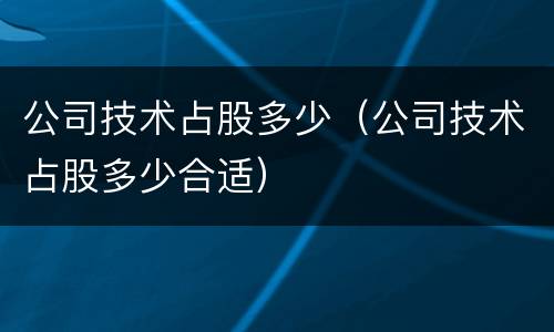 公司技术占股多少（公司技术占股多少合适）