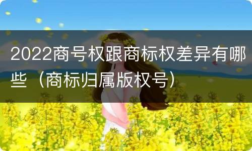 2022商号权跟商标权差异有哪些（商标归属版权号）