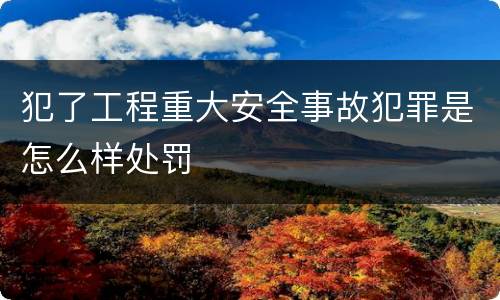 犯了工程重大安全事故犯罪是怎么样处罚