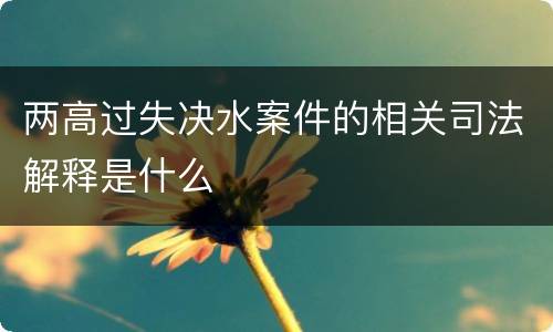 两高过失决水案件的相关司法解释是什么