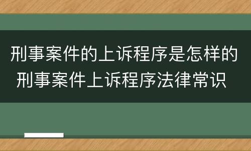 刑事案件的上诉程序是怎样的 刑事案件上诉程序法律常识